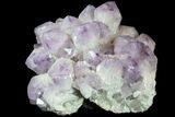 Wide Amethyst Crystal Cluster - Spectacular Display Piece #78154-1